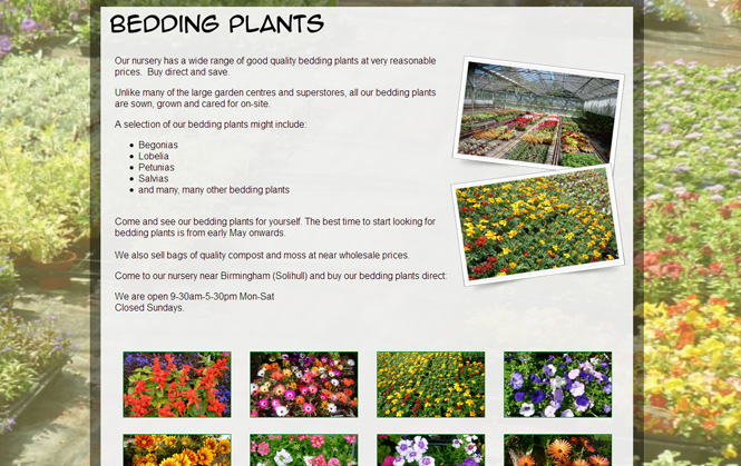 Bedding plants page